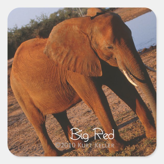 Adesivo Quadrado Vermelho Grande (Frente)