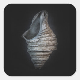 Adesivo Quadrado Versão de cor dos reservatórios n.o 6