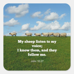 Adesivo Quadrado Verso bíblia, John 10:27