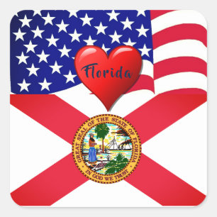 Adesivo Quadrado Viagem Florida Love Sticker