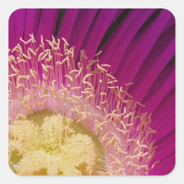 Adesivo Quadrado Vibrações de Ventilador (Frente)