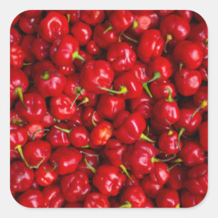 Adesivo Quadrado Vibrant Red Chili Pepper Harvest