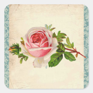 Adesivo Quadrado Victorian cor-de-rosa e damasco