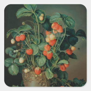 Adesivo Quadrado Vida eterna com morangos