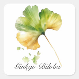 Adesivo Quadrado Vida Herbal: Folha de Ginkgo Biloba personalizável