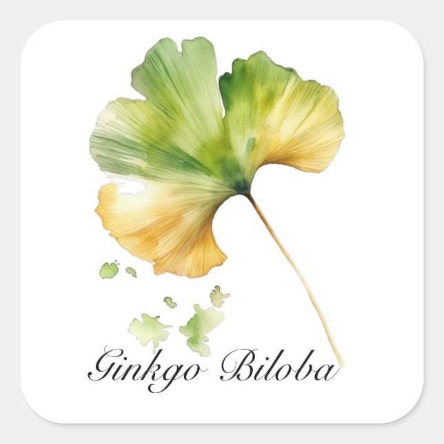Adesivo Quadrado Vida Herbal: Folha de Ginkgo Biloba personalizável (Frente)