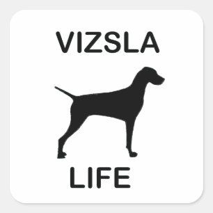 Adesivo Quadrado vida vizsla