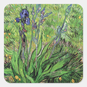 Adesivo Quadrado Vincent Van Gogh - O Íris Amante da Natureza Arte 