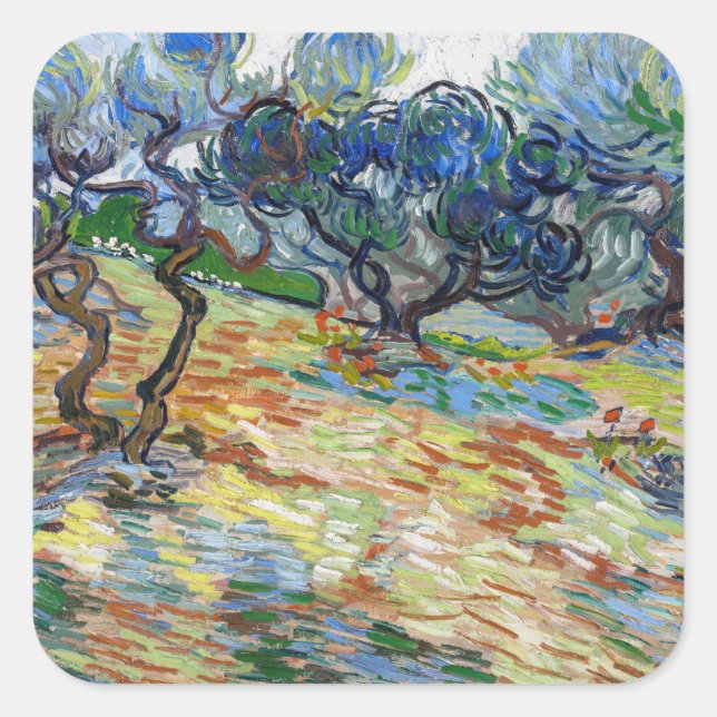 Adesivo Quadrado Vincent van Gogh - Oliveiras: Céu azul brilhante (Frente)