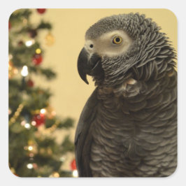 Adesivo Quadrado Vinheiros de Natal de Cenoura