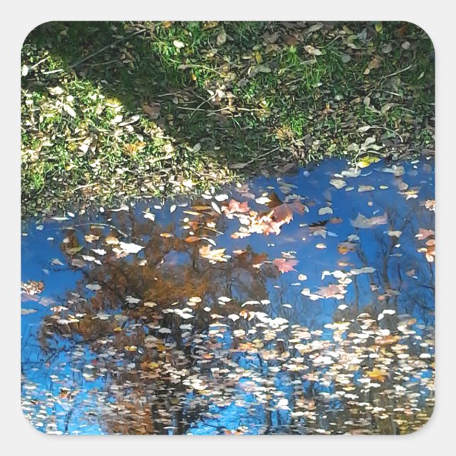 Adesivo Quadrado Vinheta de Ação de Graças do Miroir Mirror (Frente)