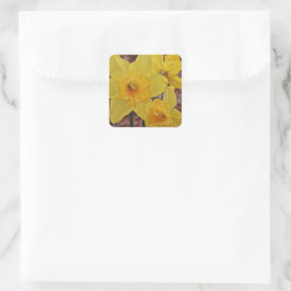 Adesivo Quadrado Vinheta de Arte da Flor Amarelo Daffodil