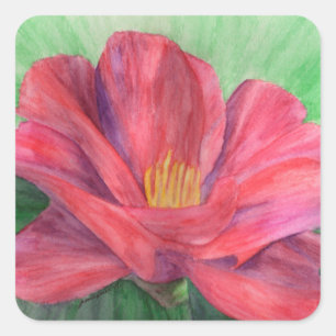 Adesivo Quadrado Vinheta de Desdobramento