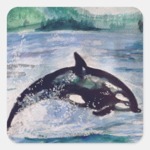 Adesivo Quadrado Vinheta de desenho de aquarela de baleia