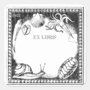 Adesivo Quadrado Vinheta de livraria do Sea Creatures