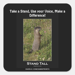 Adesivo Quadrado Vinheta de Motivação Marmot