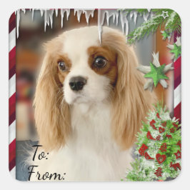 Adesivo Quadrado Vinheta de presentes de Natal Blenheim Cavalier