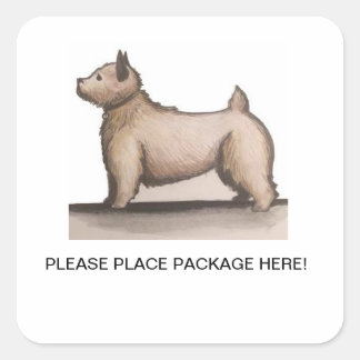 Adesivo Quadrado Vinheta Depositária do Pacote de Inflicação de Art