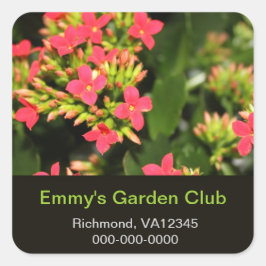 Adesivo Quadrado Vinheta do clube de jardim, flores de jardim verme