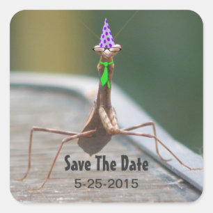 Adesivo Quadrado Vinheta do Inseto do Partido