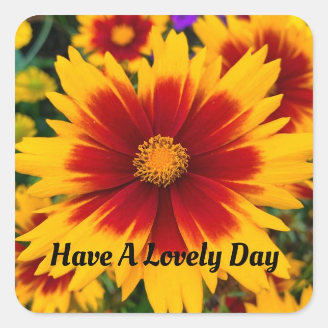 Adesivo Quadrado Vinheta Floral de Verão (Frente)