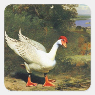 Adesivo Quadrado Vinheta IGF