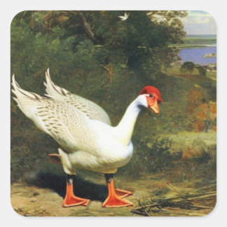 Adesivo Quadrado Vinheta IGF