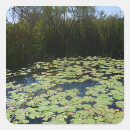 Adesivo Quadrado Vinheta Lily Pads de Saída