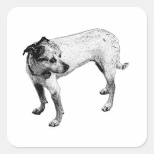 Adesivo Quadrado Vinheta monocromática do corpo do Cheio Terrier Mi