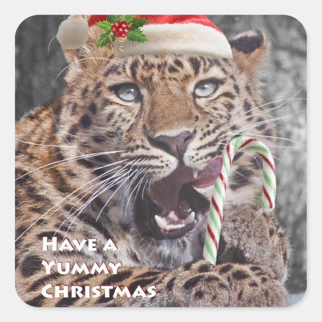Adesivo Quadrado Vinheta Natal Iummy (Frente)
