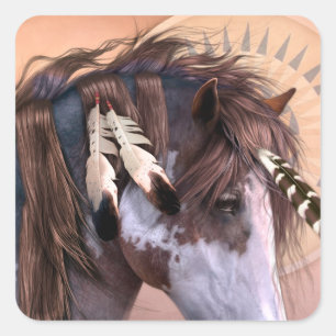 Adesivo Quadrado Vinheta Nativa Spirit II