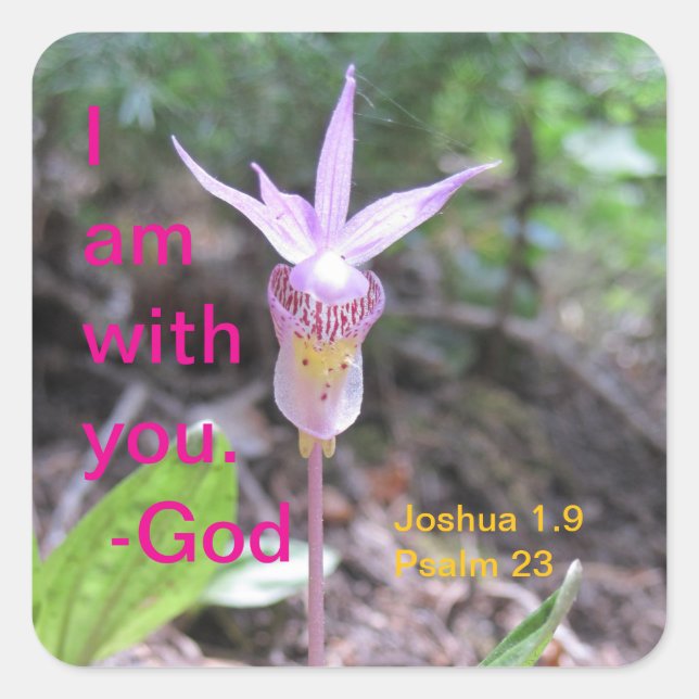 Adesivo Quadrado Vinheta Quadrada de Flor Orquídea Fairyslipper (Frente)