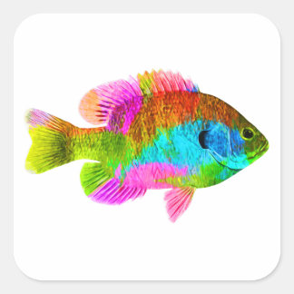 Adesivo Quadrado Vinheta Quadrada de Peixe Colorida
