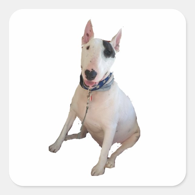 Adesivo Quadrado Vinheta Rex Feliz (Frente)