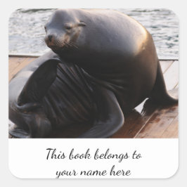 Adesivo Quadrado Vinheta Sea Lion "Este livro pertence a"