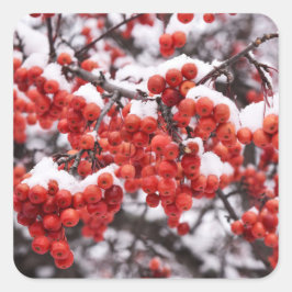 Adesivo Quadrado Vinhetas