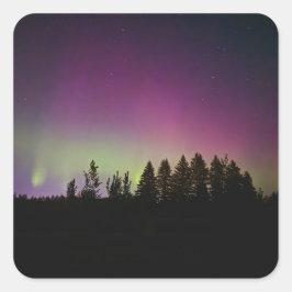 Adesivo Quadrado Vinhetas