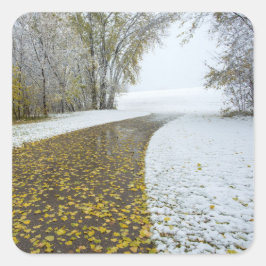 Adesivo Quadrado Vinhetas