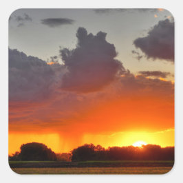 Adesivo Quadrado Vinhetas