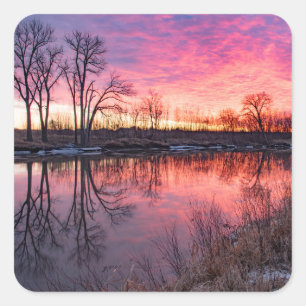 Adesivo Quadrado Vinhetas