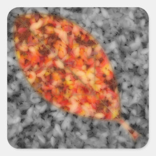 Adesivo Quadrado Vinhetas Brilhantes