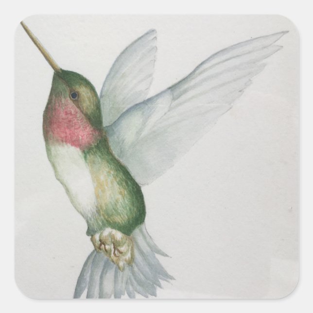 Adesivo Quadrado Vinhetas de Aquarela de Hummingbird Elegante (Frente)