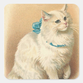 Adesivo Quadrado vinhetas de gatos vintage