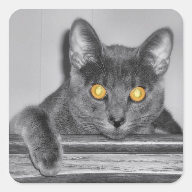 Adesivo Quadrado Vinhetas Douradas (Frente)