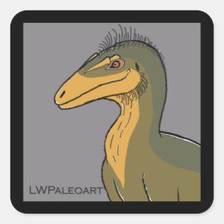 Adesivo Quadrado Vinhetas quadradas de aerosteon