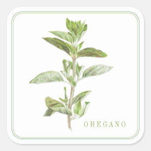 Adesivo Quadrado Vinhetas quadradas grandes de OREGANO FRESCAS