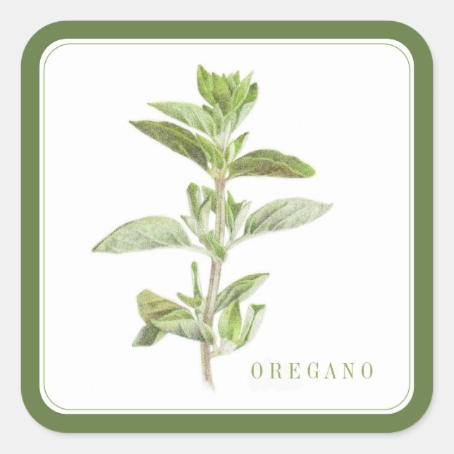 Adesivo Quadrado Vinhetas quadradas largas de OREGANO FRESCAS (+tex (Frente)