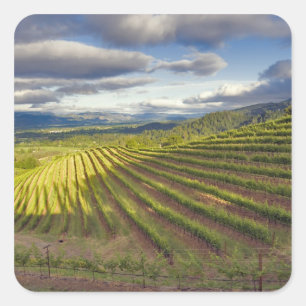 Adesivo Quadrado Vinícola. Vale de Napa. Napa. Condado de Napa,