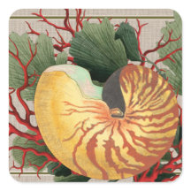 Vintage Beach Seashell & Red Coral