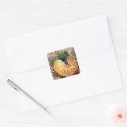 Adesivo Quadrado Vintage Beach Seashell & Red Coral